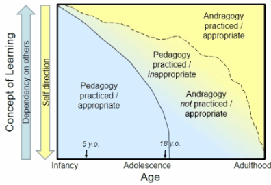 Figure 3 Pedagogy vs. Andragogy with in between