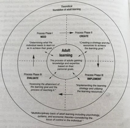 Figure 5 Praxis in adult learning